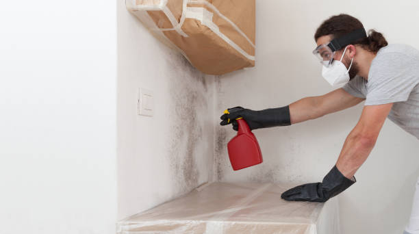 Professional Black Mold Remediation technician working in Allenwood, NJ