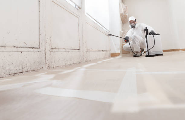 24/7 Emergency Black Mold Remediation experts in Allenwood, NJ
