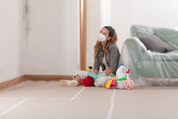 Reliable Black Mold Remediation contractor in Allenwood, NJ by Mold Remediation HQ